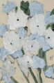 Image Not Available